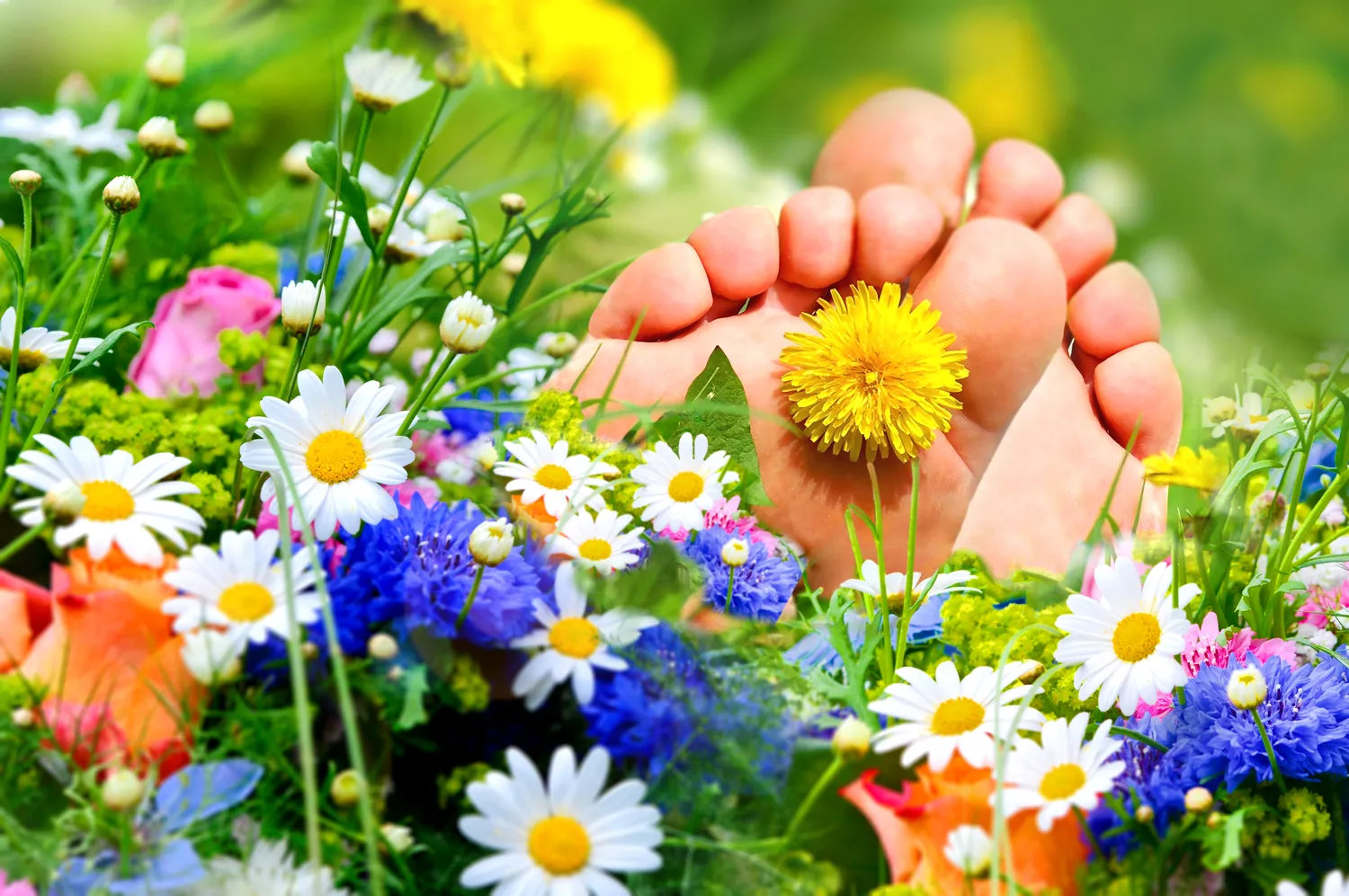 Powstawanie, usuwanie i leczenie modzeli