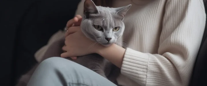 Hunde Krematorium Berlin