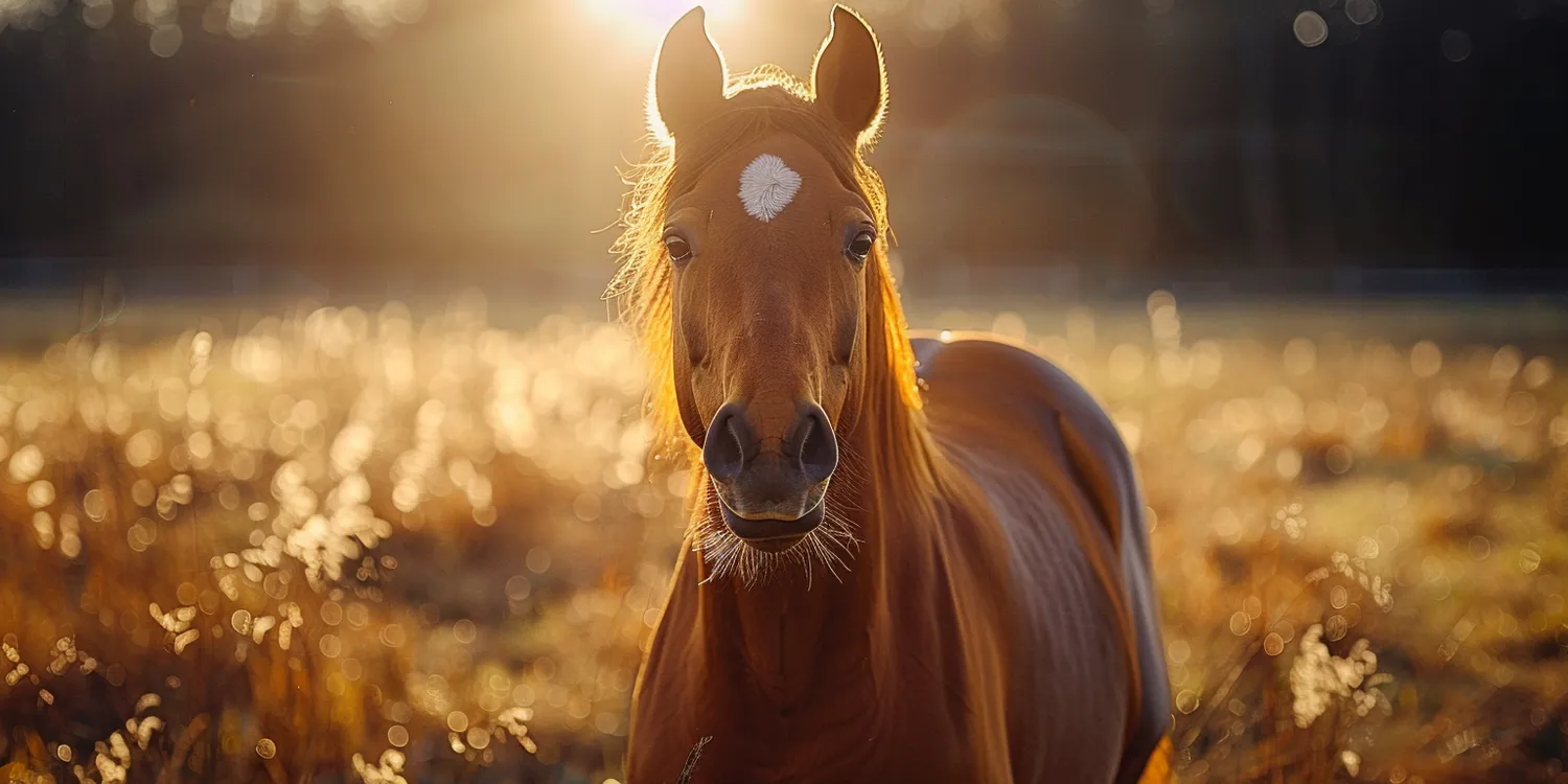 Czy trawa z rolki może się nie przyjąć? Czy trawa z rolki może się nie przyjąć?