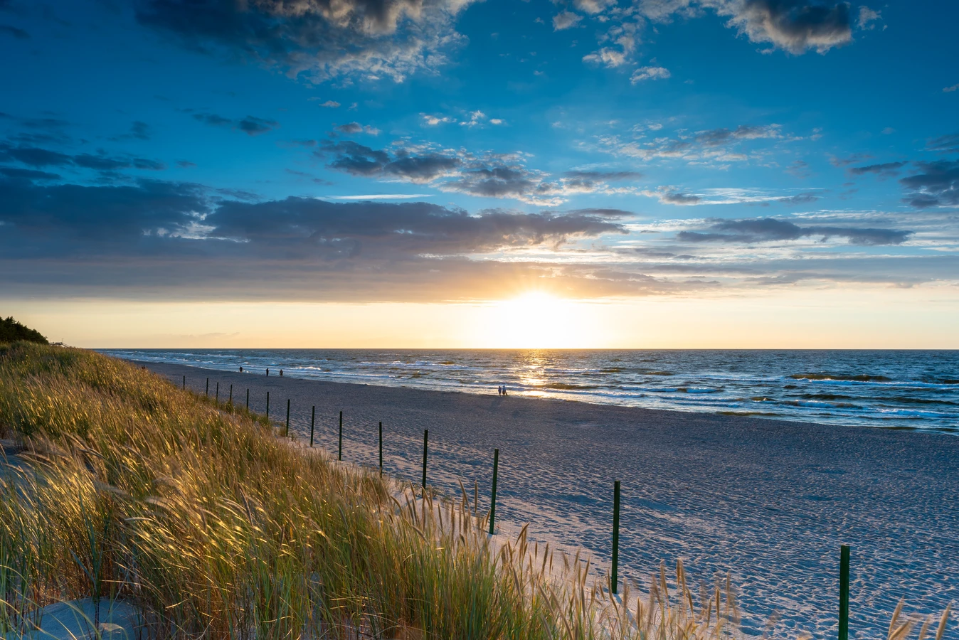 Ile kosztuje trawa z rolki cena? Ile kosztuje trawa z rolki cena?