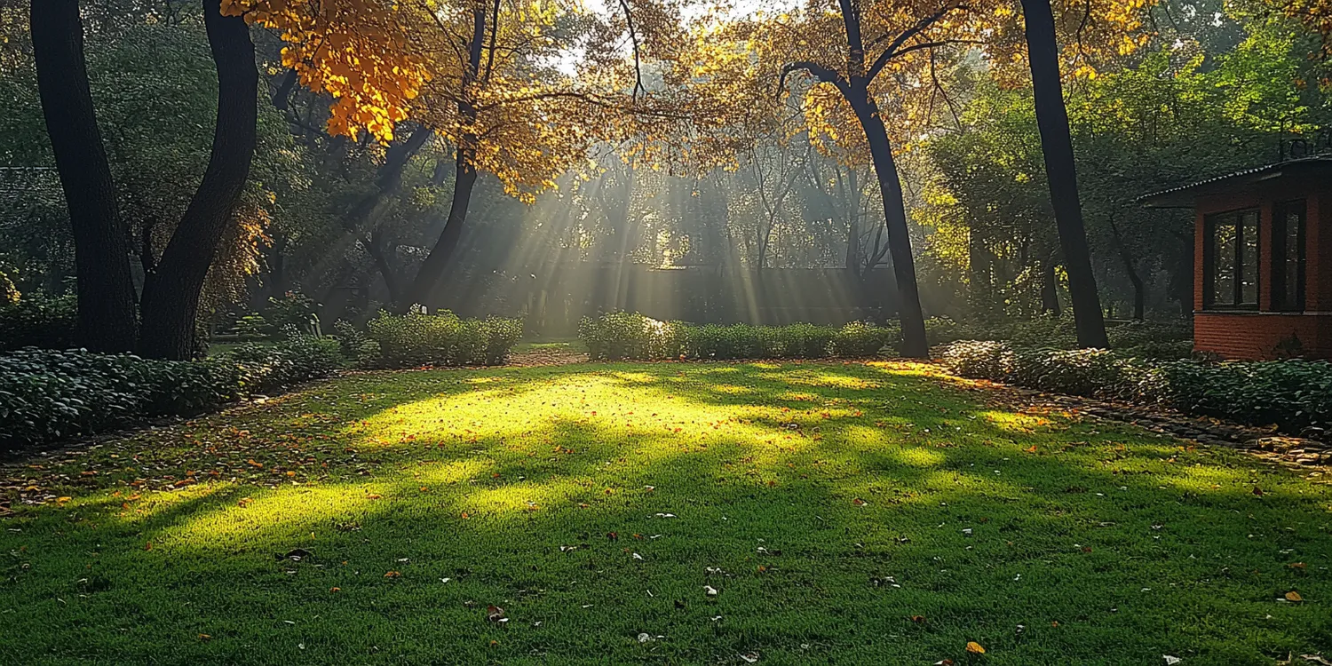 Ile kosztuje trawa z rolki za metr kwadratowy?