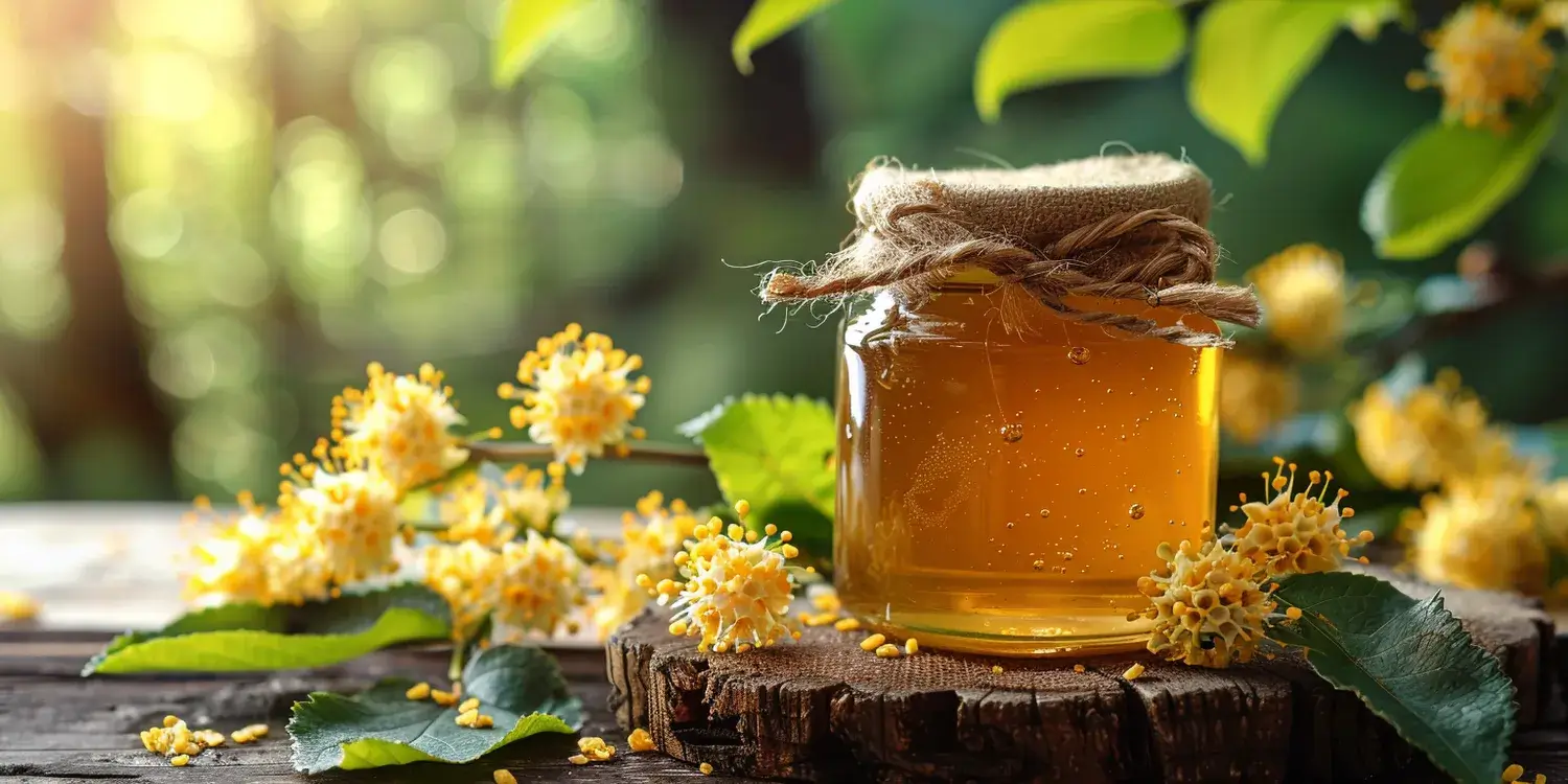 Jak stosować miód rzepakowy?